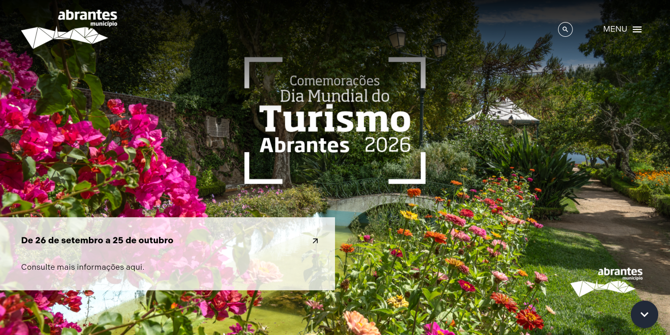 Recorte 1 da prova: Imagens com texto alternativo, no site de Abrantes