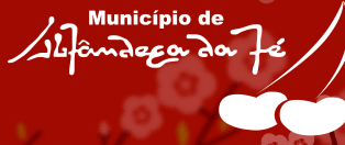 Recorte 2 da prova: Imagens com texto alternativo, no site de Alfândega da Fé