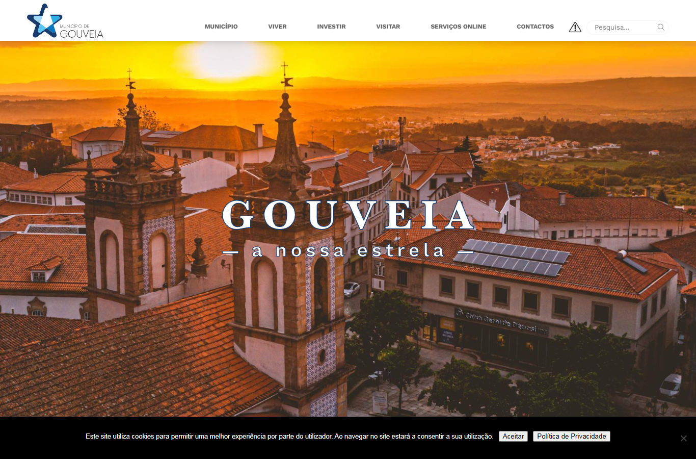 Recorte 1 da prova: Imagens com texto alternativo, no site de Gouveia