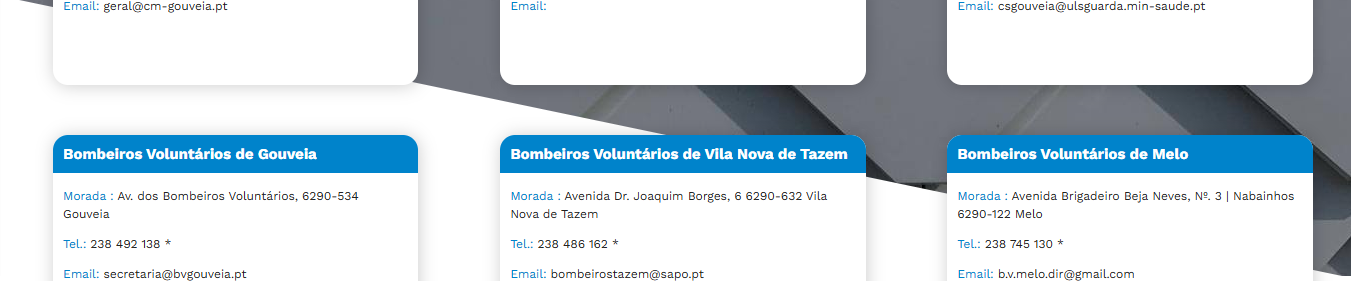 Recorte 2 da prova: Imagens com texto alternativo, no site de Gouveia