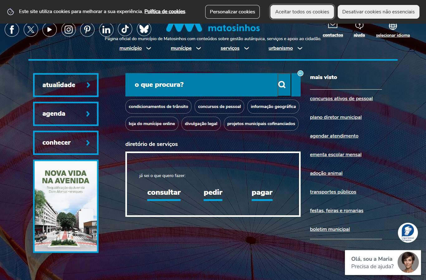 Página inicial de Matosinhos no momento da medição