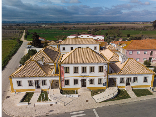 Recorte 2 da prova: Imagens com texto alternativo, no site de Salvaterra de Magos
