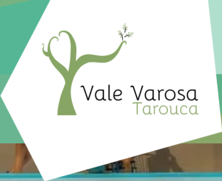 Recorte 1 da prova: Imagens com texto alternativo, no site de Tarouca