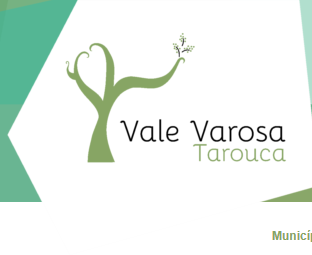 Recorte 2 da prova: Imagens com texto alternativo, no site de Tarouca