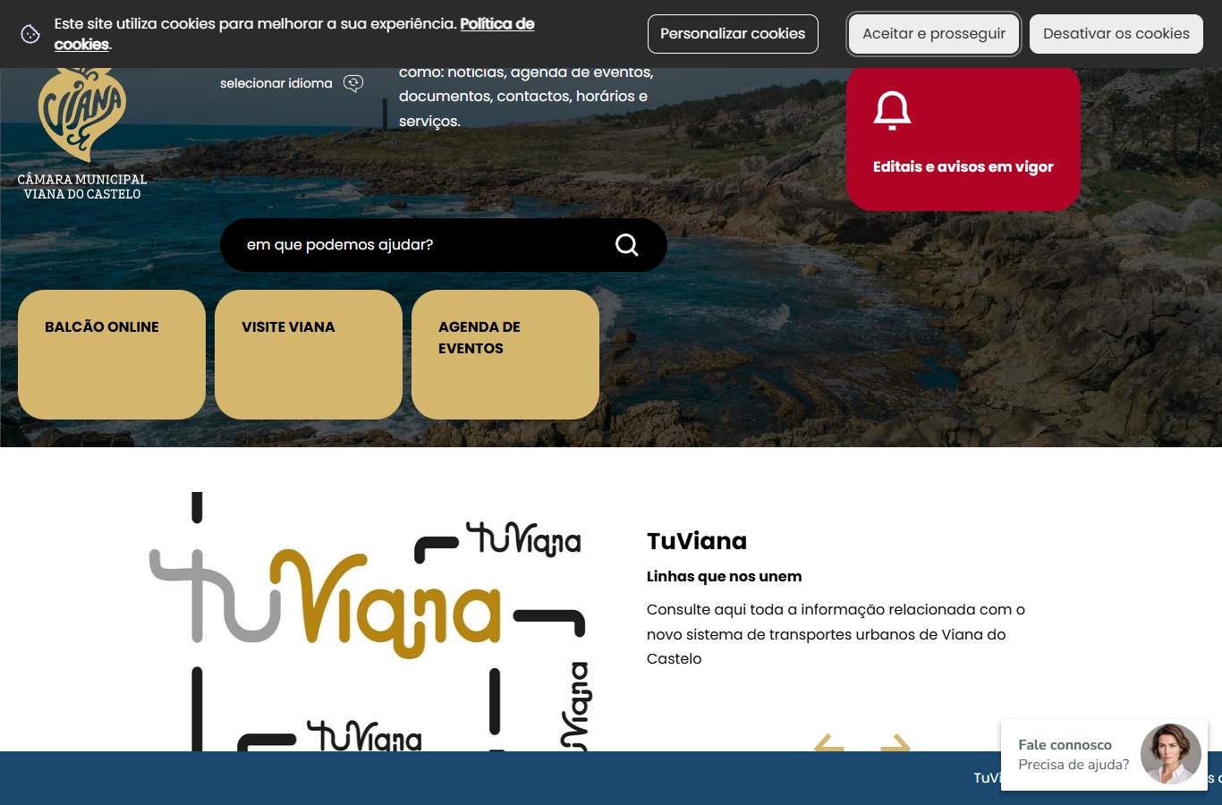 Página inicial de Viana do Castelo no momento da medição