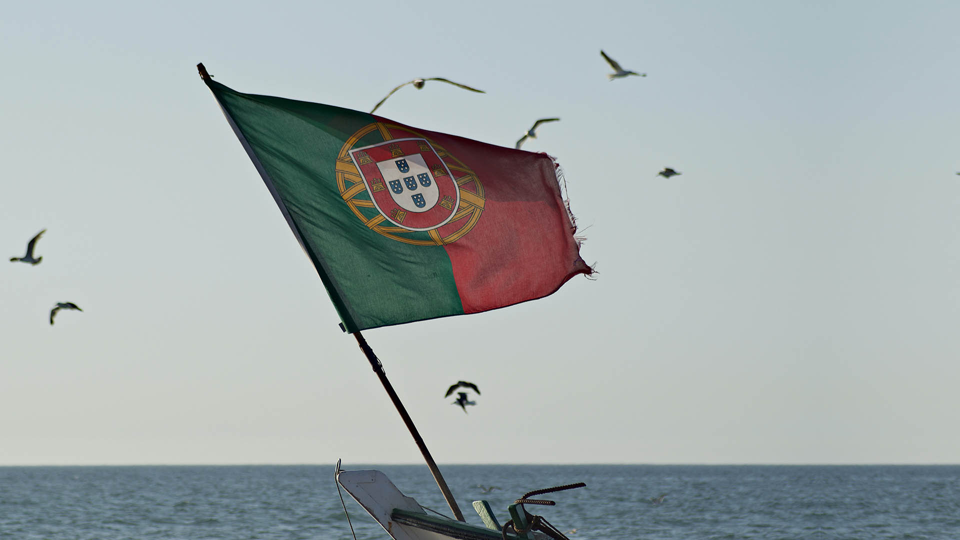 Blog 23 SEO Portugal